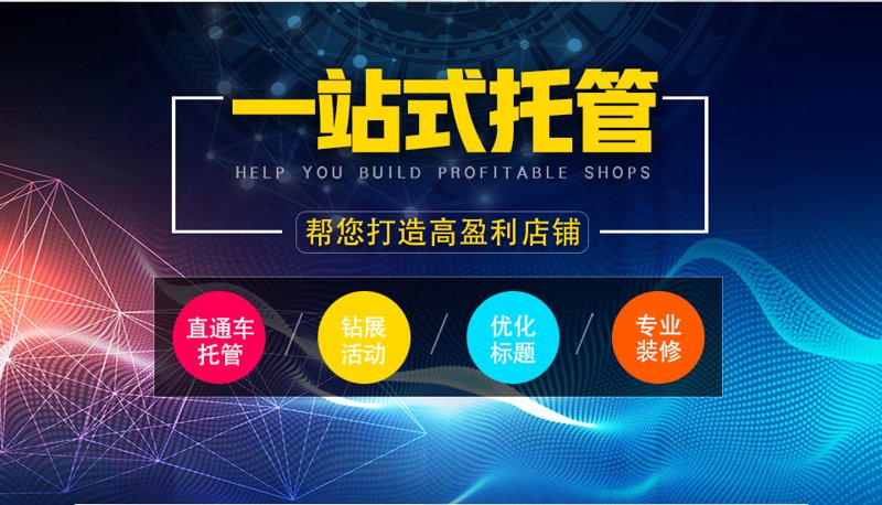站群系统助力电商突围
